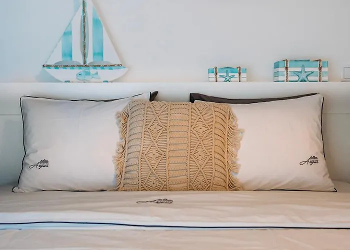 Argus Dream Costa Nova