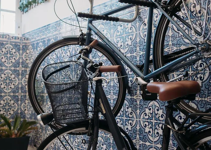 Argus Dream * Costa Nova